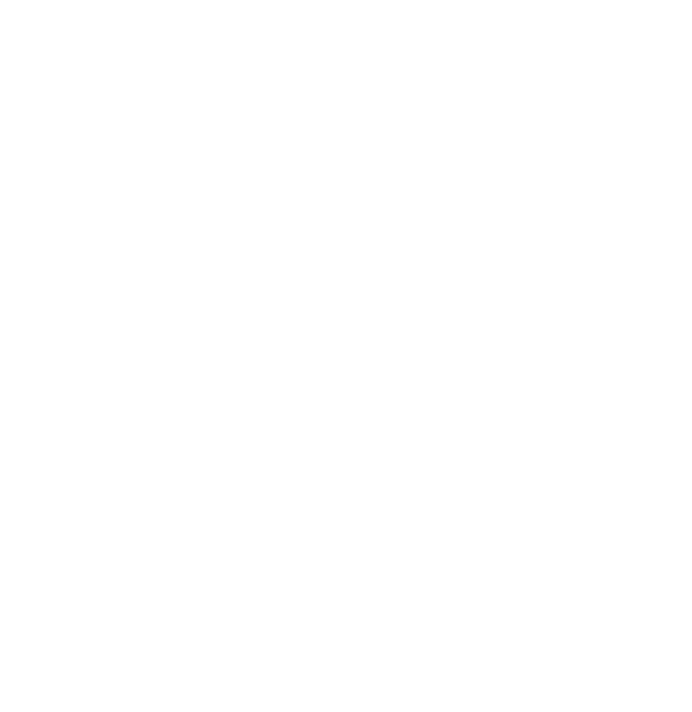 logo of Raynor Hawaii Overhead Doors logo